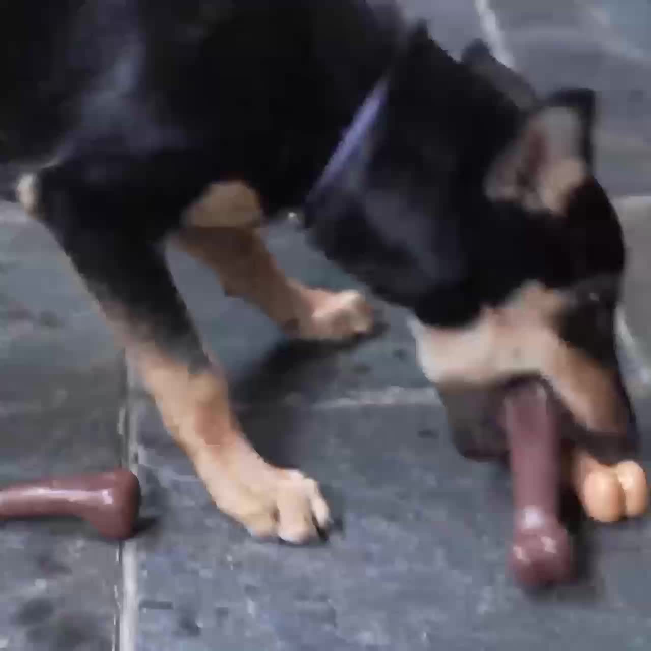 Beef-Flavored Durable Chew Toy