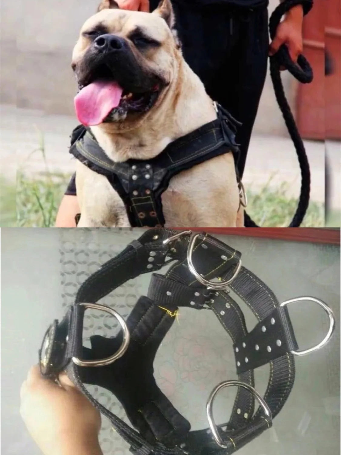 Dog Harness For Large Dog