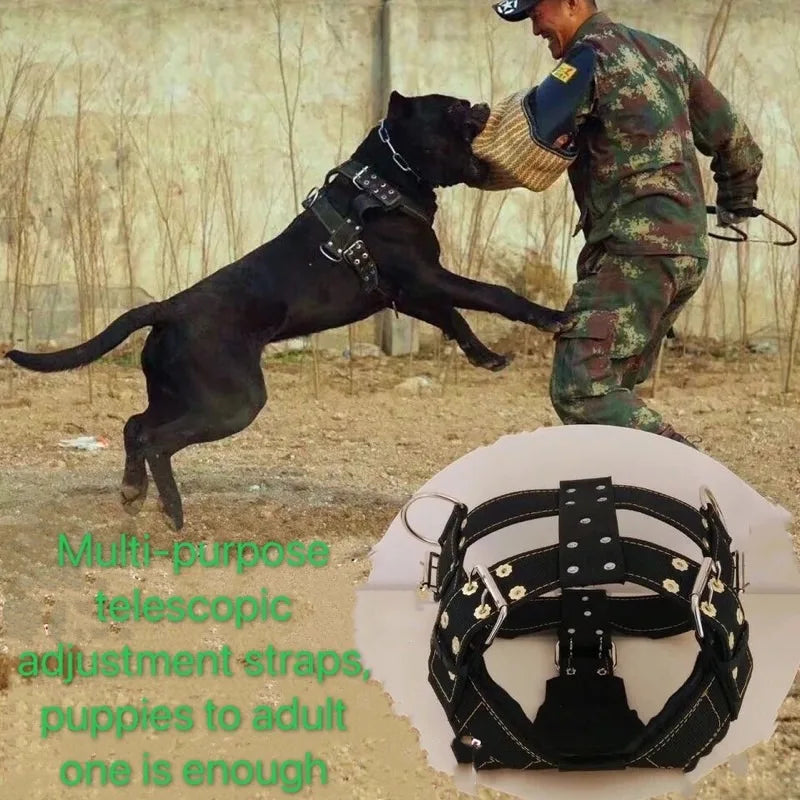 Dog Harness For Large Dog