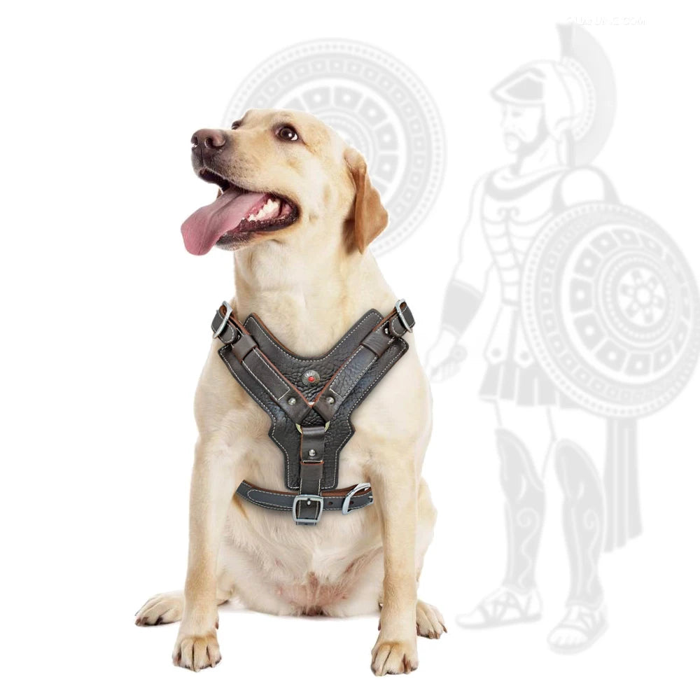 Durable Dog Harness Large Dogs Genuine Leather