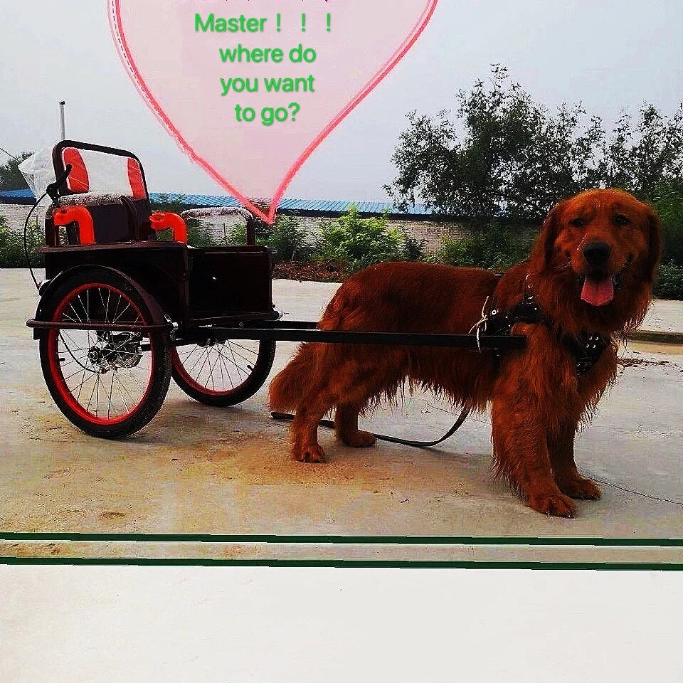 Dog Harness For Large Dog