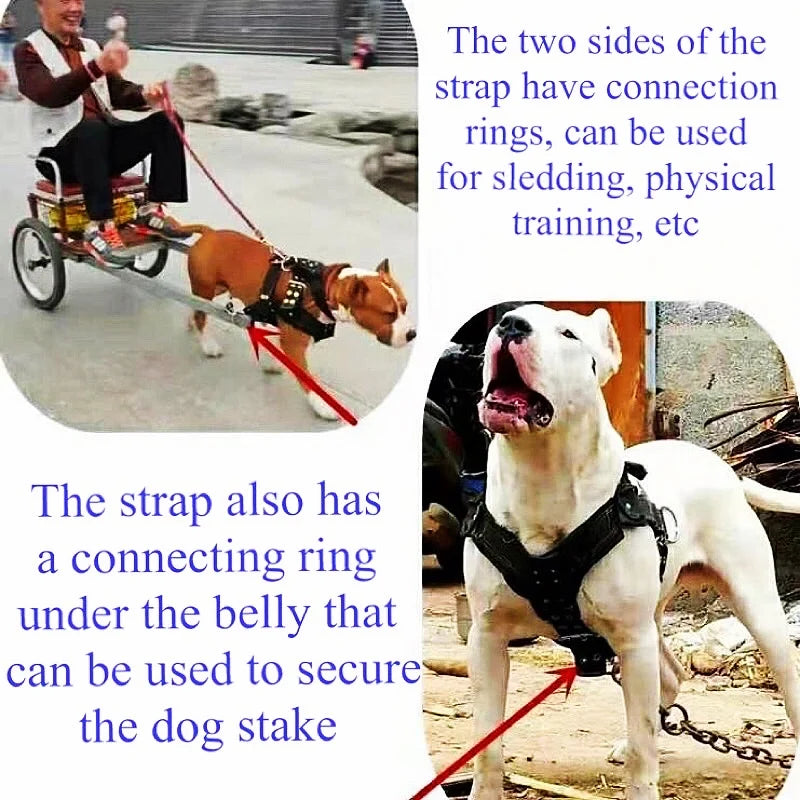 Dog Harness For Large Dog