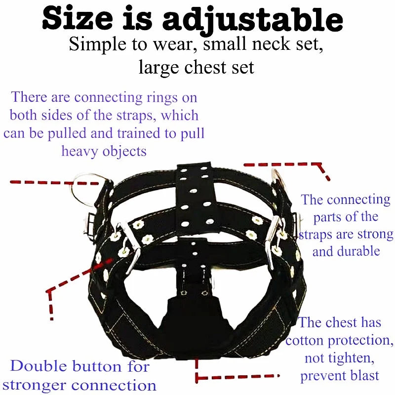 Dog Harness For Large Dog