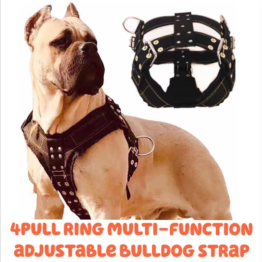 Dog Harness For Large Dog