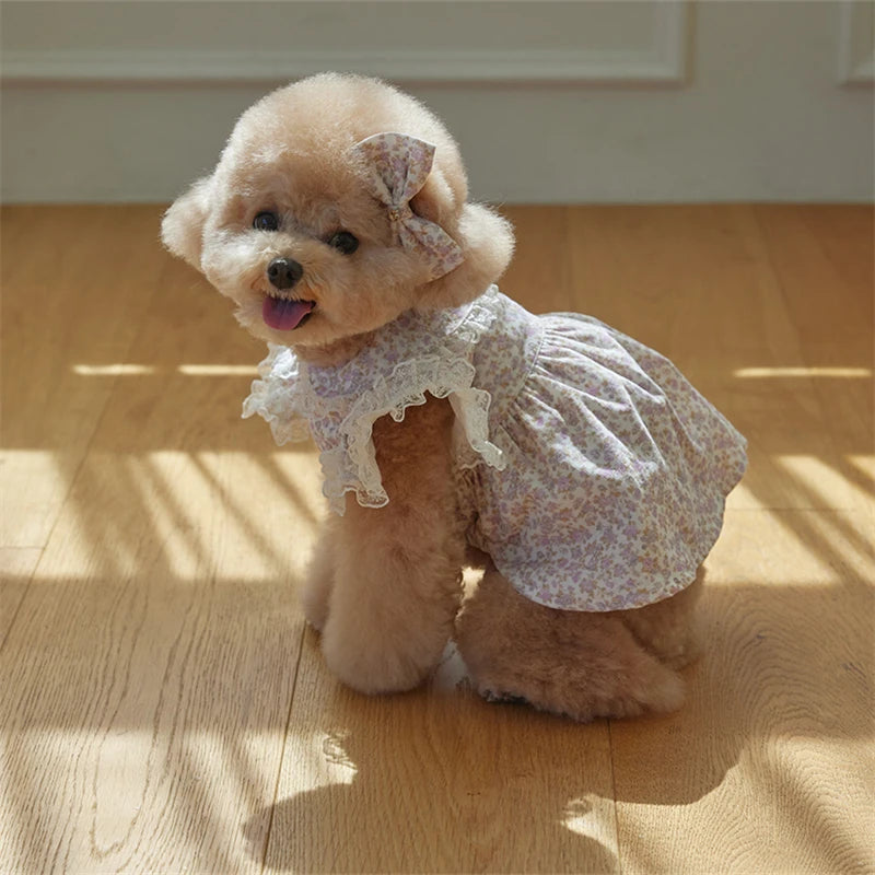 Floral Printed Lace Ruffle Flutter Sleeves Dress