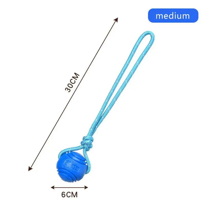 Bouncy Rubber Ball Chew Toys