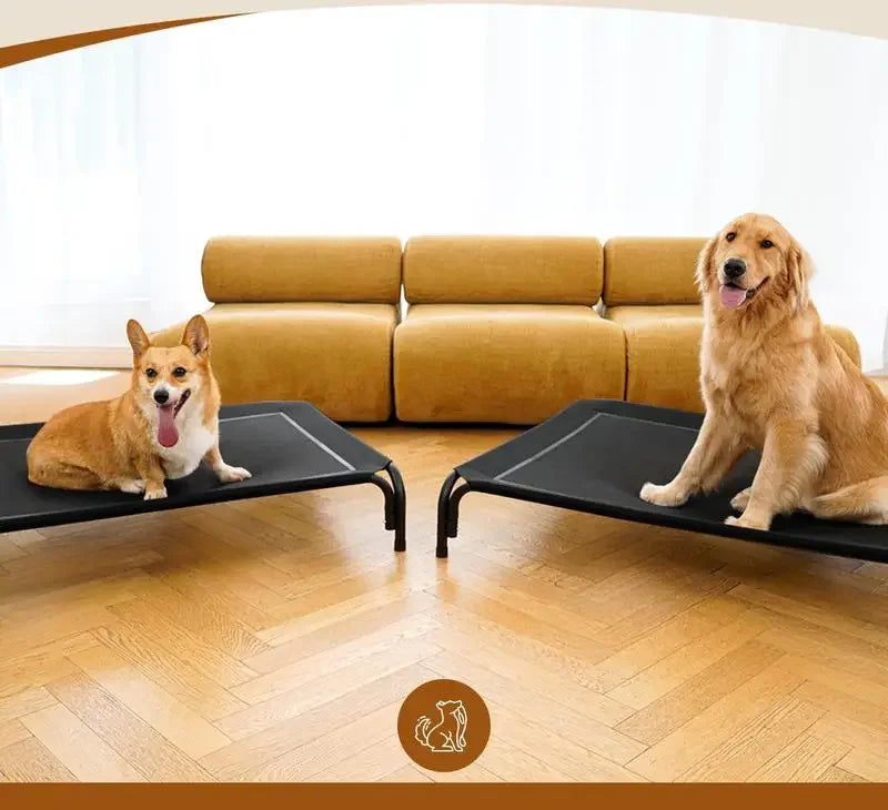 Elevated Dog Bed for Large Dogs