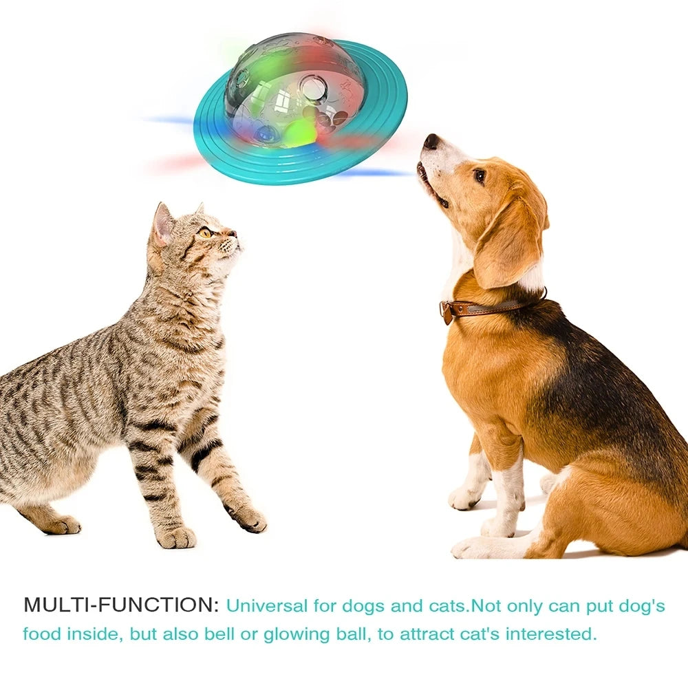 Slow Feed Dog Toy