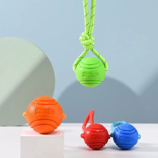 Bouncy Rubber Ball Chew Toys
