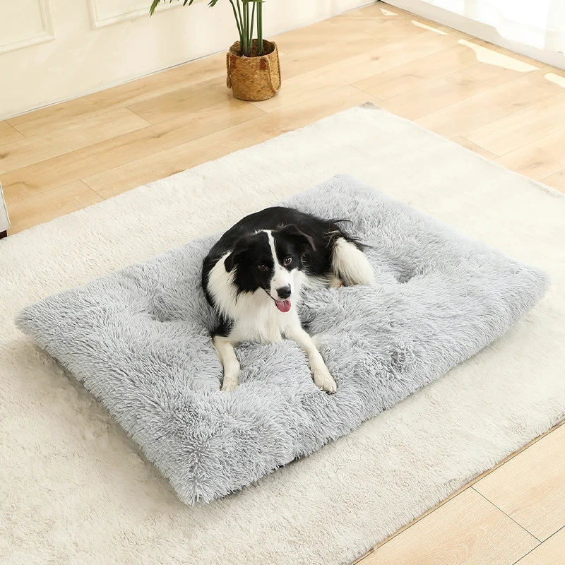 Best Pet Dog Bed