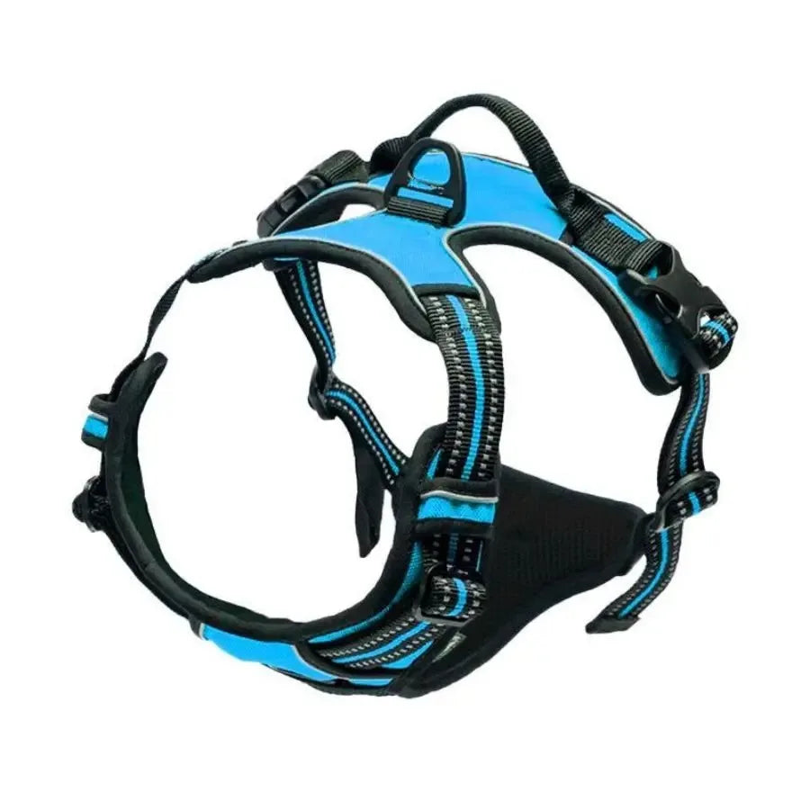 Big Vests Leash
