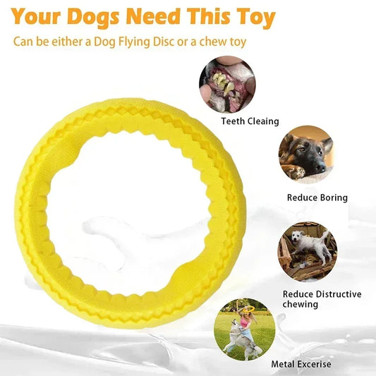 Dog Ring Toys