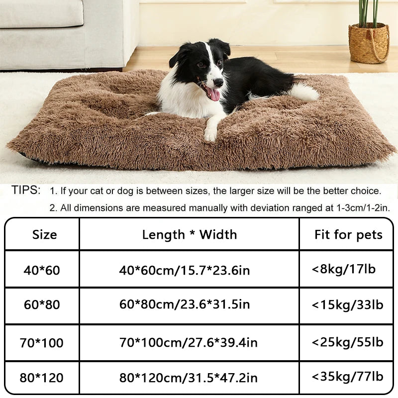 Best Pet Dog Bed