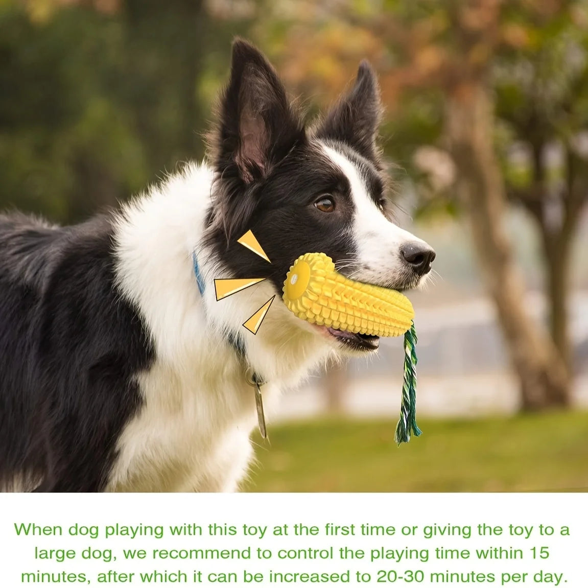 Dog chew toys for aggressive chewers