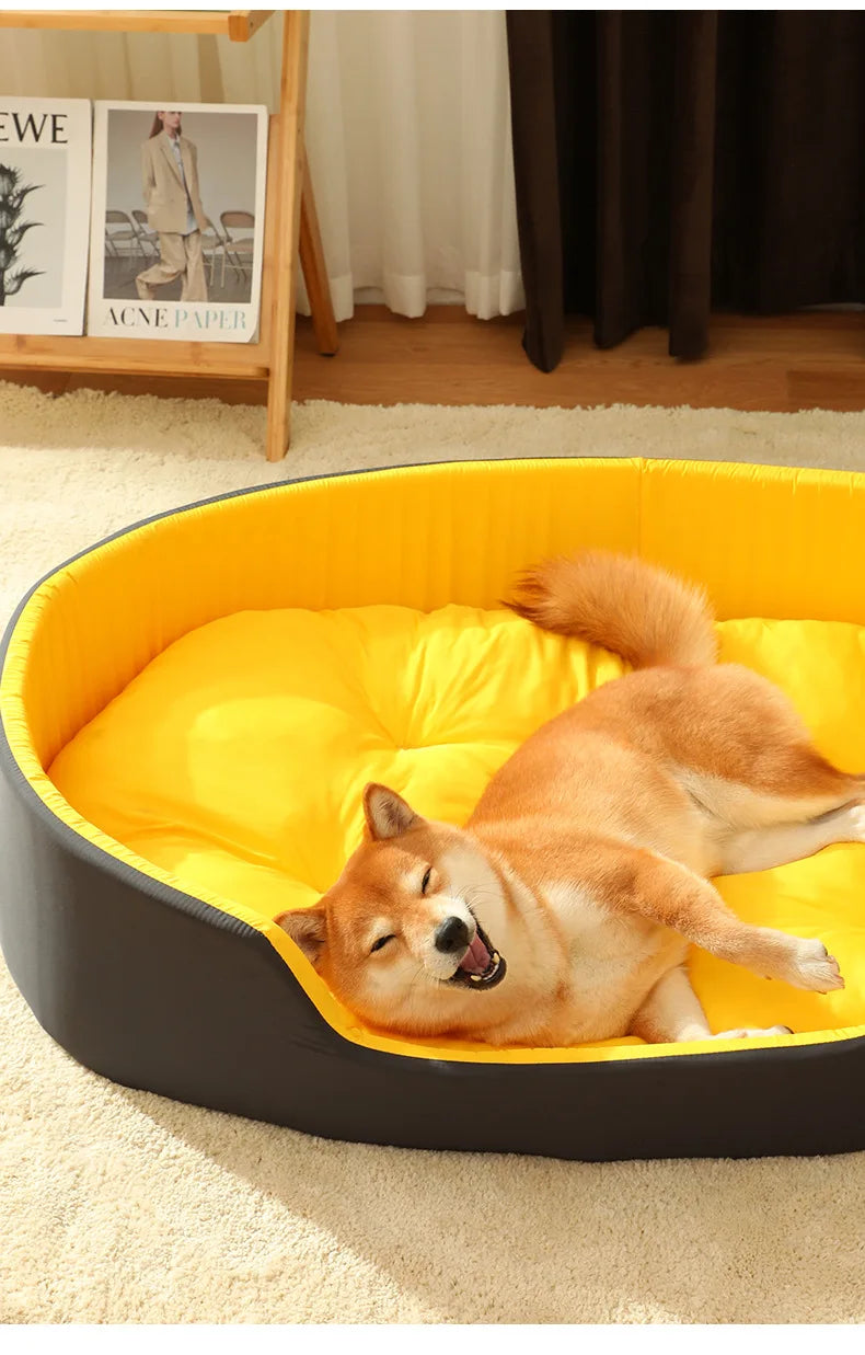 Big Dog Bed