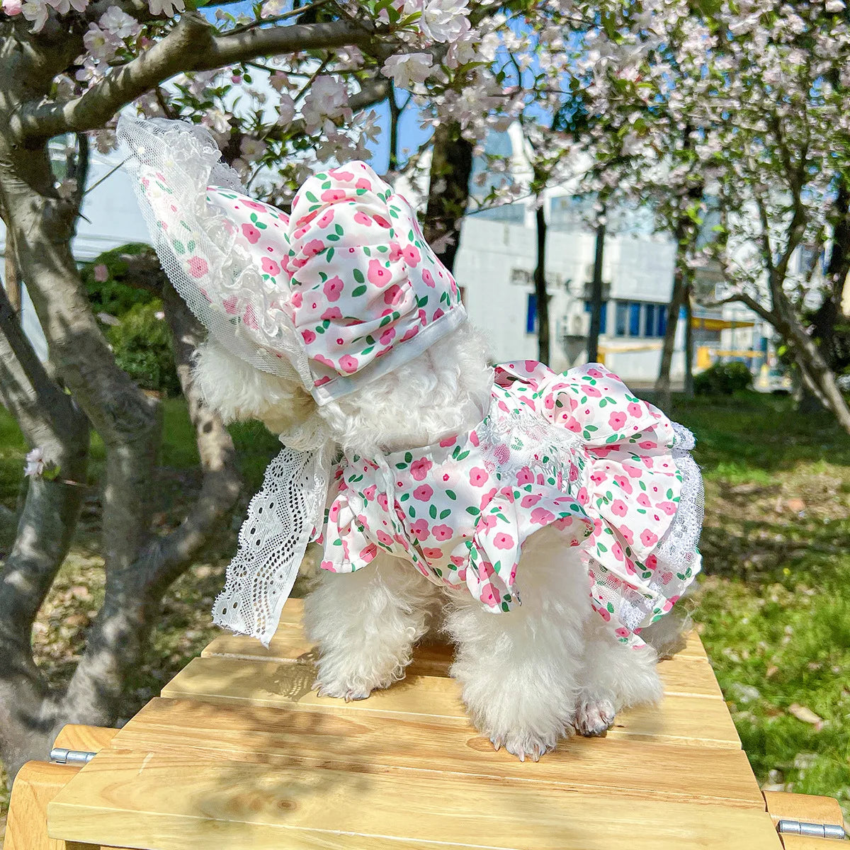 Floral dress, princess dress for dogs