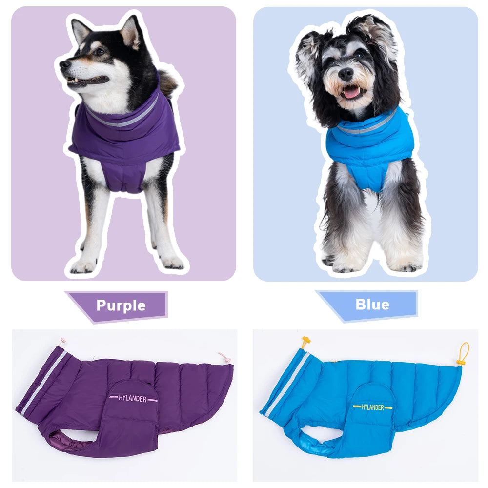 Costumes Jacket For Dogs