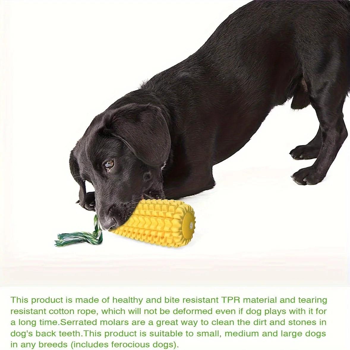 Dog chew toys for aggressive chewers