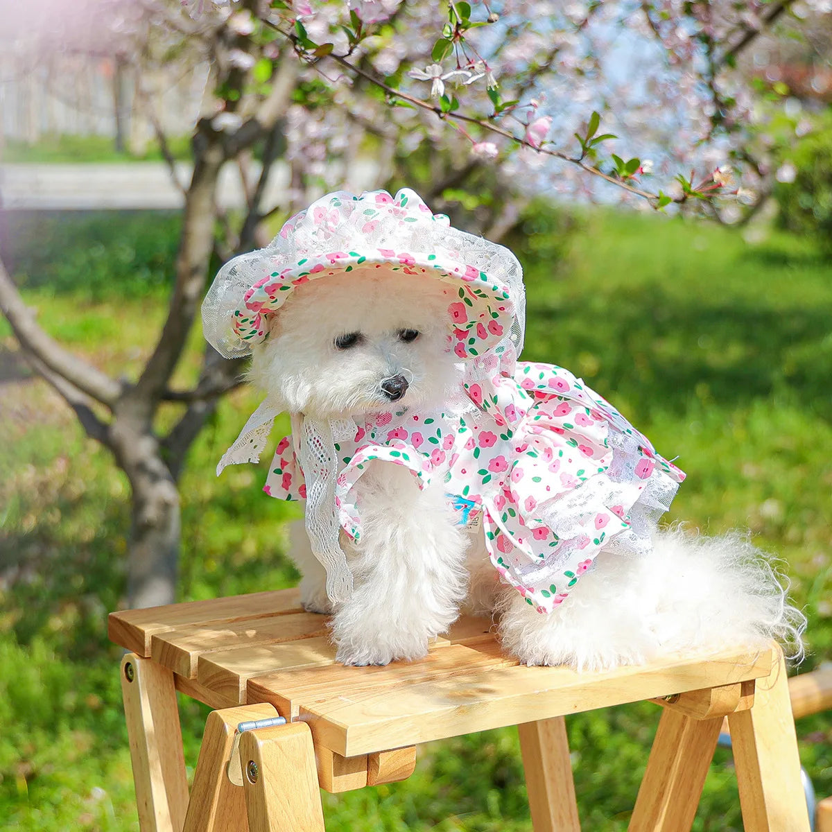 Floral dress, princess dress for dogs