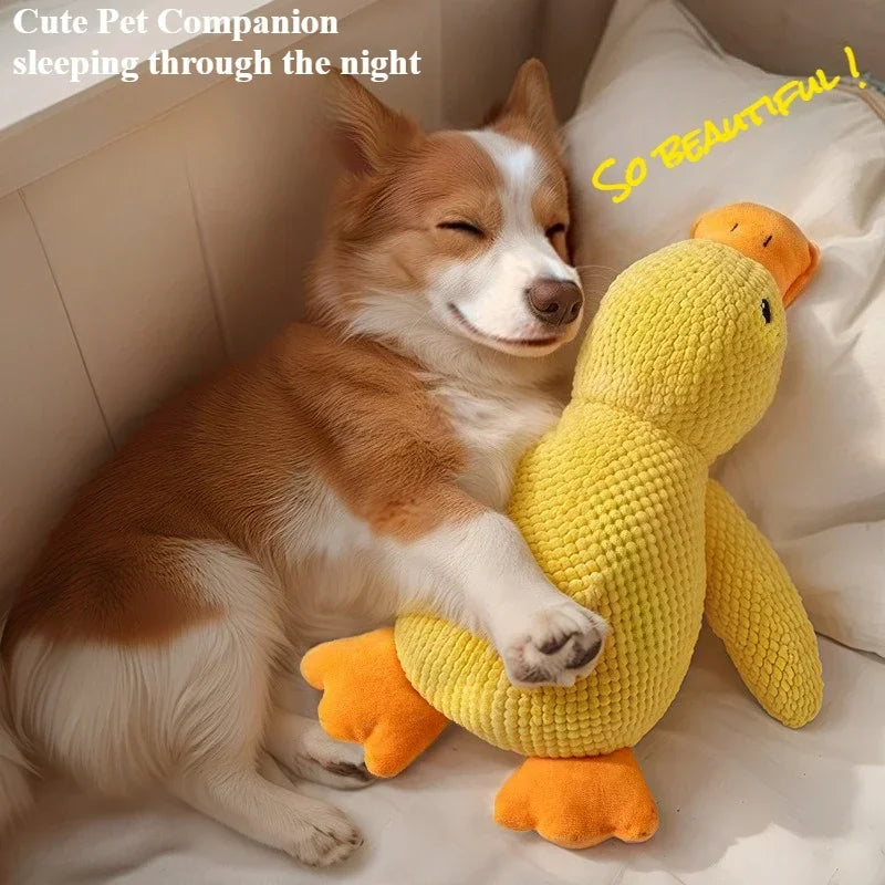 Dog Toys - Squeaky Chew Proof-Self-Entertaining