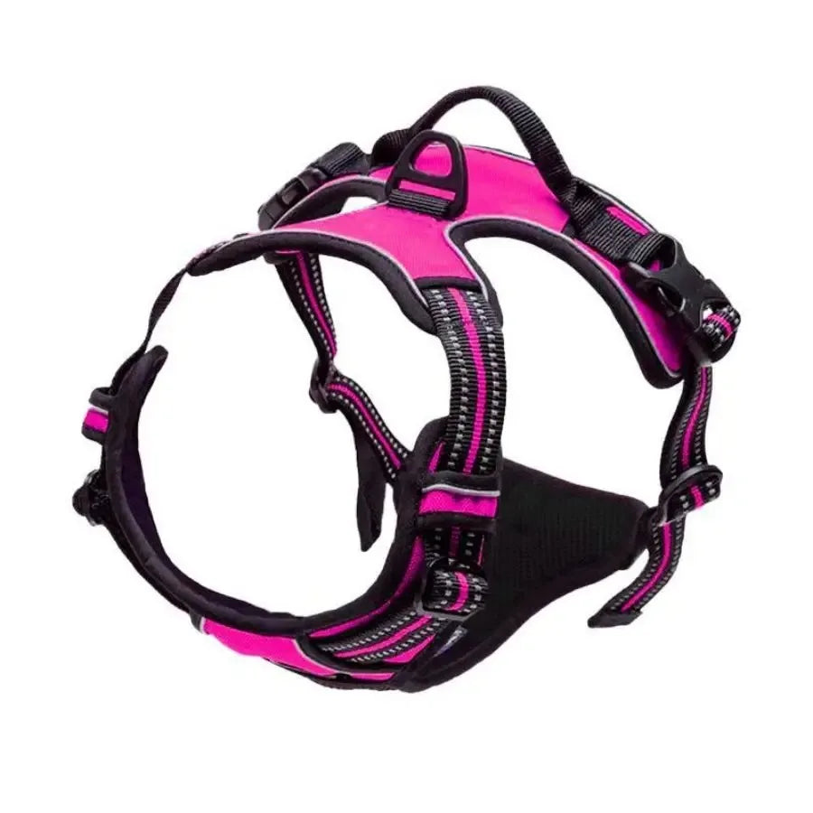Big Vests Leash