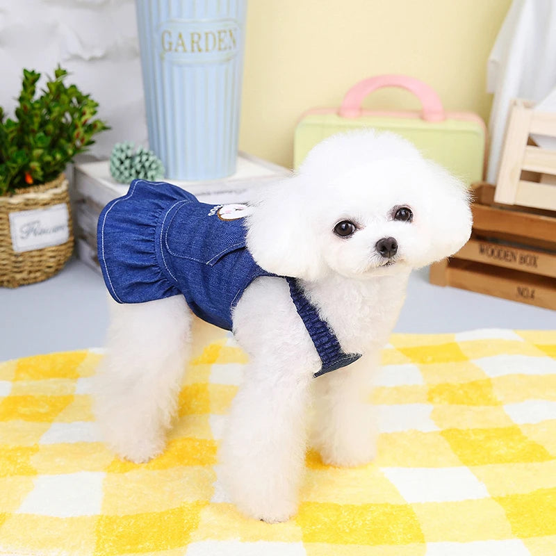 Pet Denim Dress
