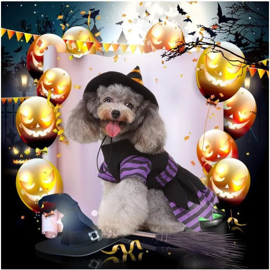 Dog Cat Witch Dress Costumes