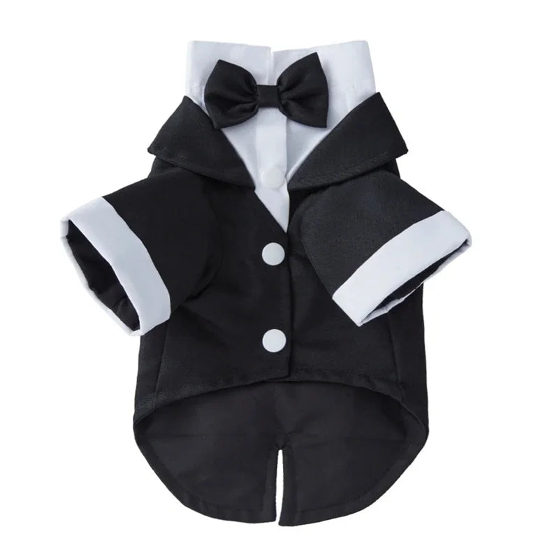 Dog Tuxedo with Bow Tie