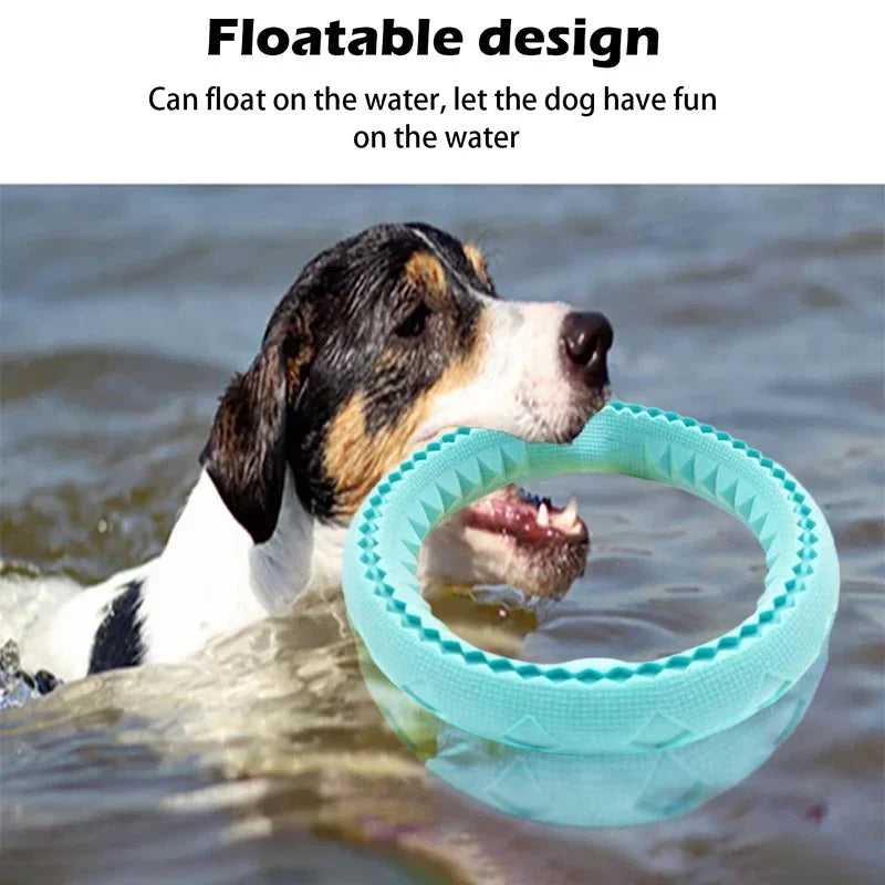 Dog Ring Toys