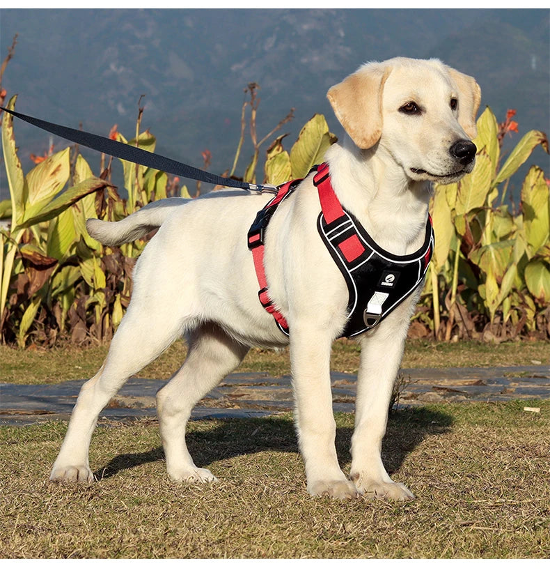 Pet Collar Labrador Army Reflective Adjustable Harness