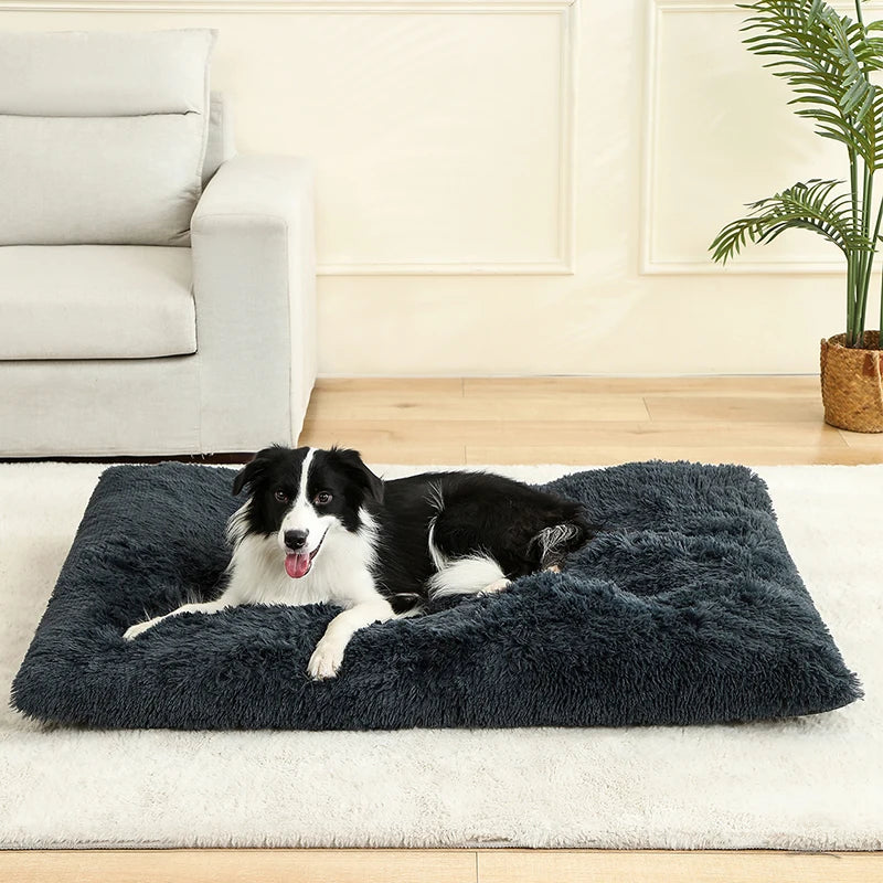 Best Pet Dog Bed