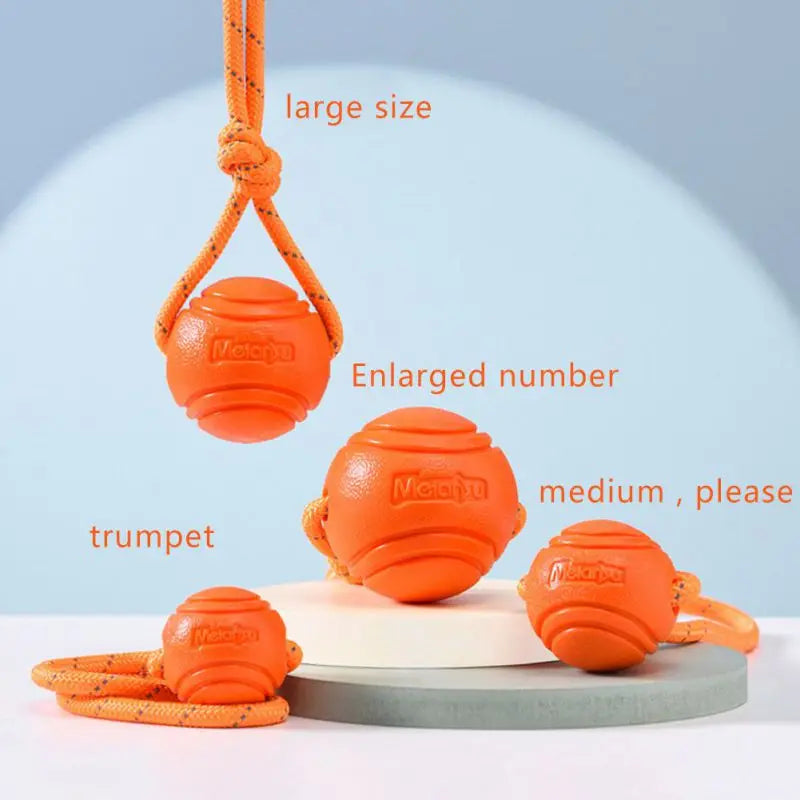 Bouncy Rubber Ball Chew Toys