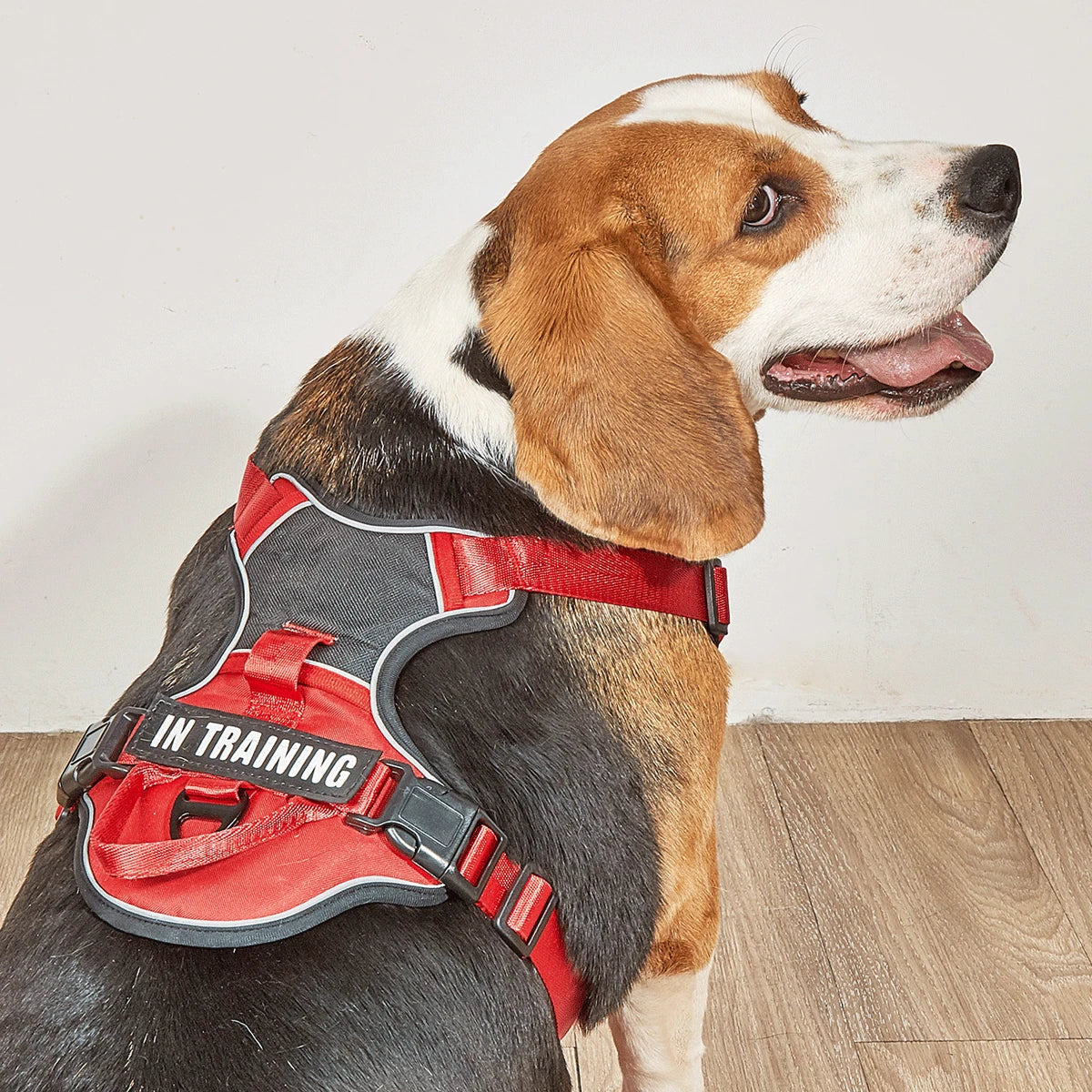 Adjustable Reflective Pet Harness for Medium Large Dogs