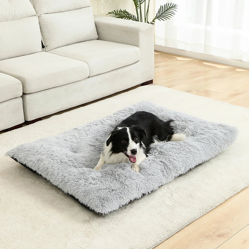 Best Pet Dog Bed