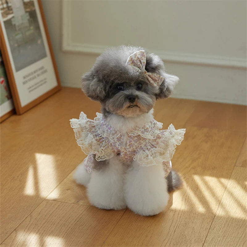 Floral Printed Lace Ruffle Flutter Sleeves Dress