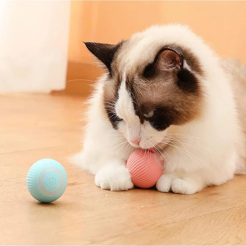 Auto Rolling Ball Self-moving Puppy Games Toys