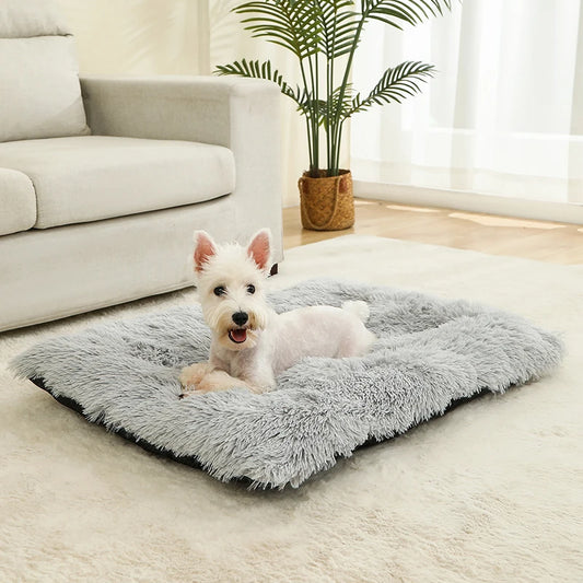 Best Pet Dog Bed