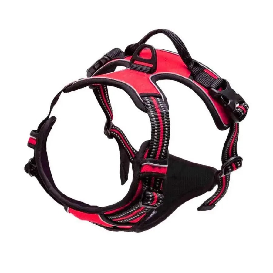Big Vests Leash