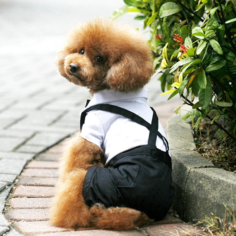 Wedding Costume