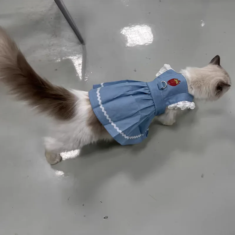 Denim Dog Princess Dress