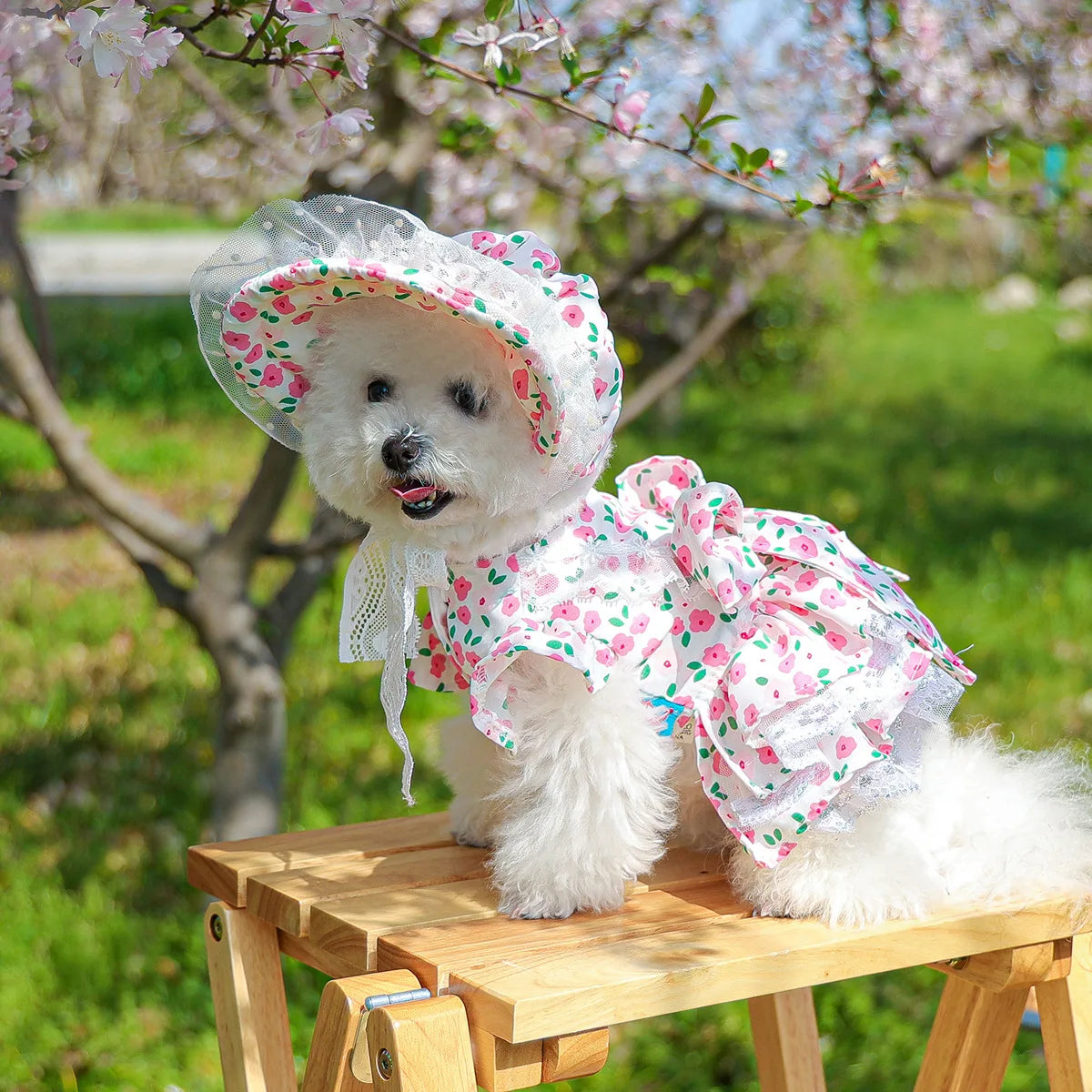 Floral dress, princess dress for dogs