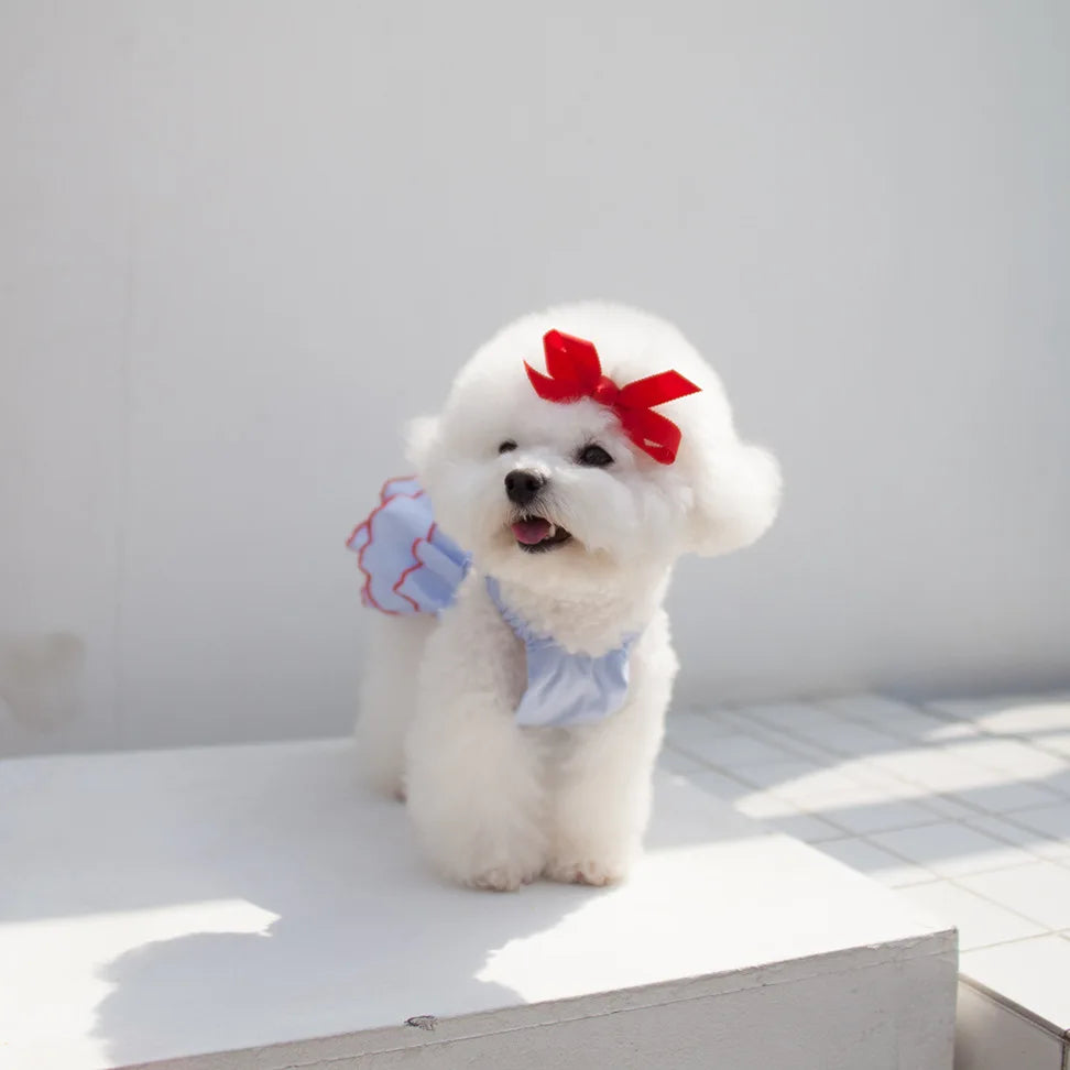 Cute dress