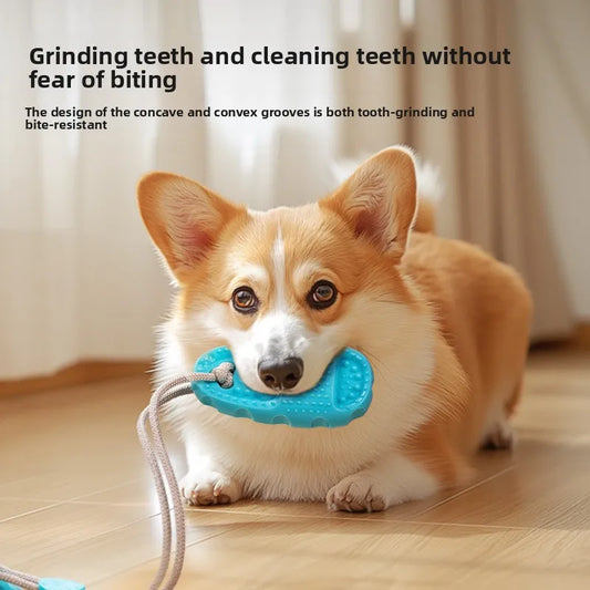 Suction Cup Slippers, Bite Resistant, Grinding Teeth Toy