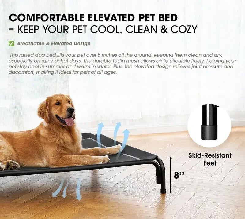 Elevated Dog Bed for Large Dogs