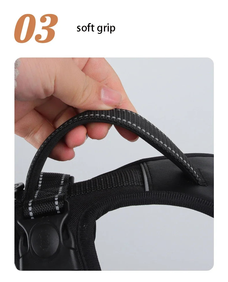 No Pull Harness