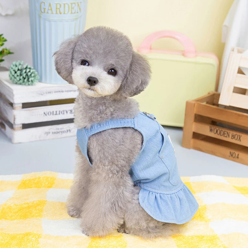 Pet Denim Dress