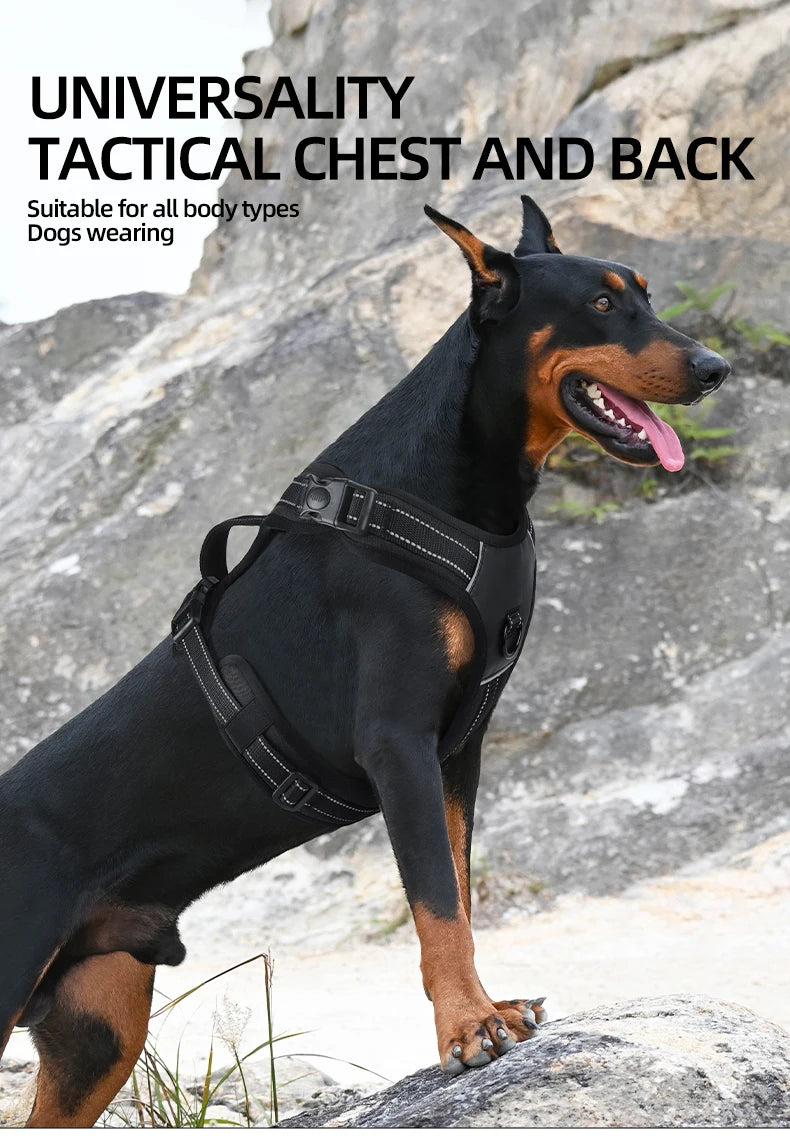 No Pull Harness