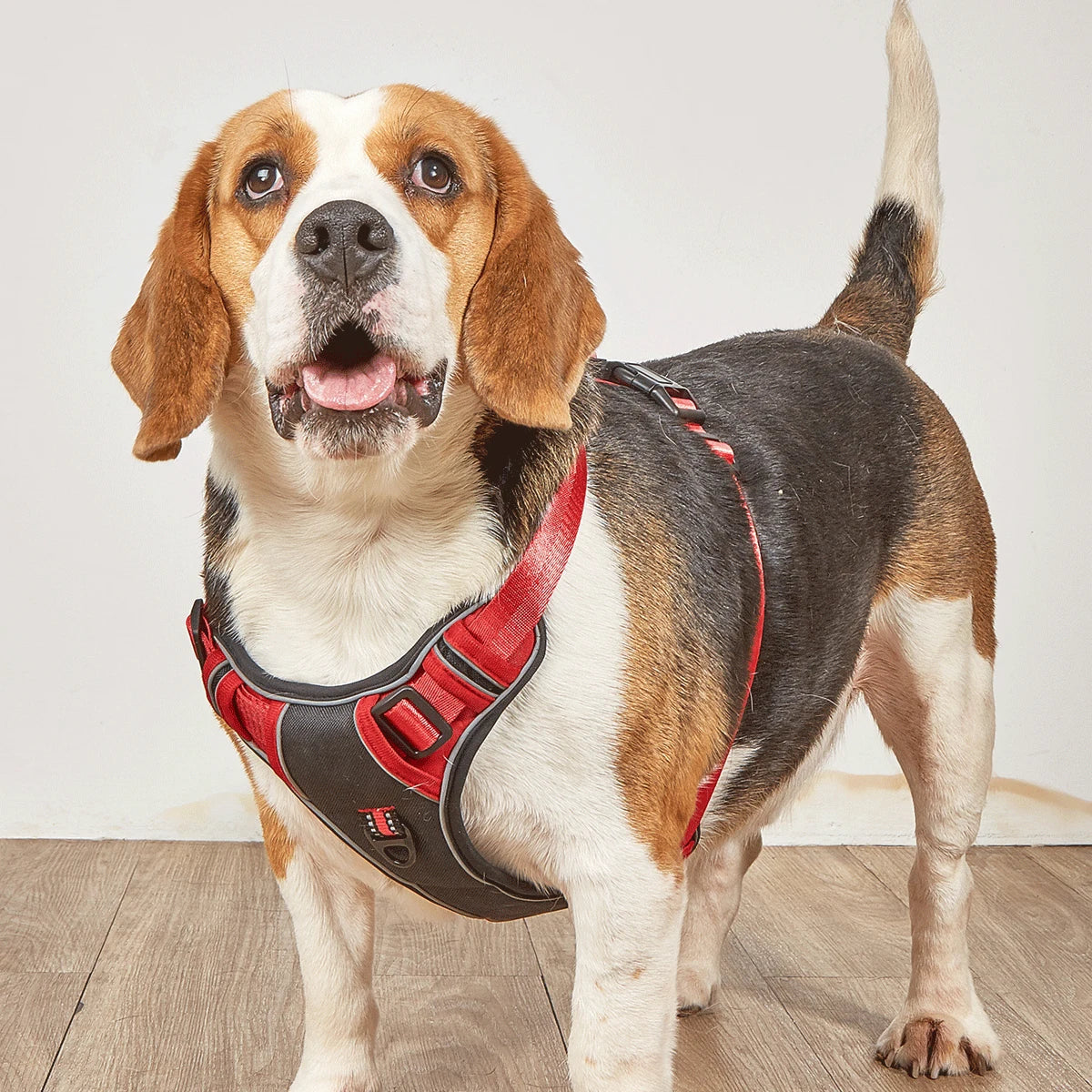 Adjustable Reflective Pet Harness for Medium Large Dogs