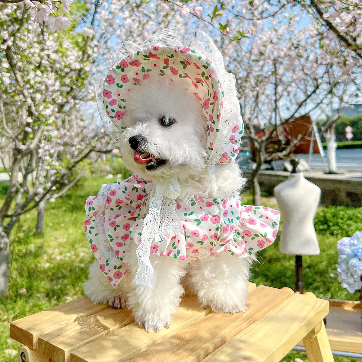 Floral dress, princess dress for dogs
