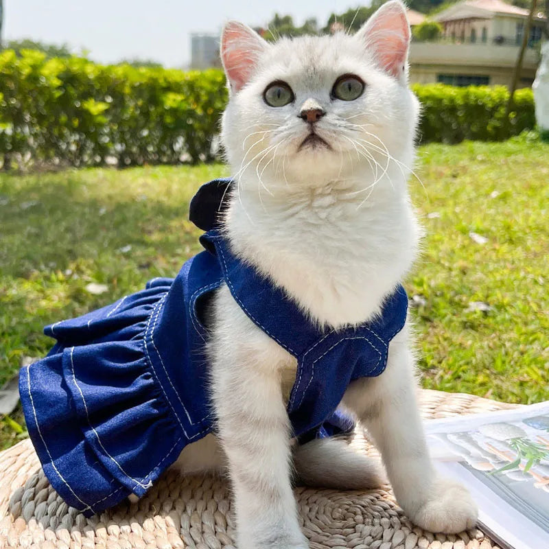 Spring Blue Dog Dress